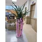 Uploaded File
