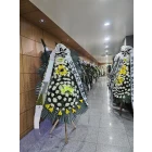 Uploaded File