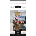 Uploaded File